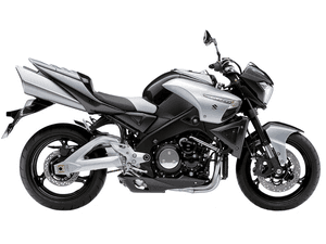 SUZUKI B-KING 1300