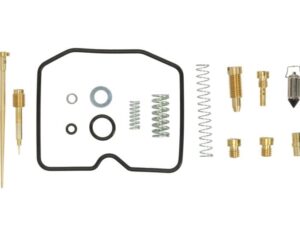 Karburátor felújító készlet CAB-DS06