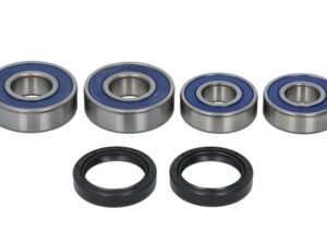 Hátsó kerékcsapágy szett 25-1646