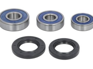 Hátsó kerékcsapágy szett 25-1603