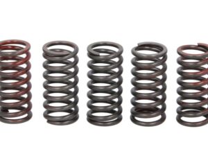 Kuplung rugó készlet TRW MEF328-5