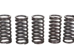 Kuplung rugó készlet TRW MEF121-5