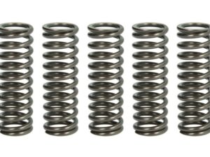 Kuplung rugó készlet TRW MEF319-5