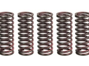 Kuplung rugó készlet TRW MEF312-5