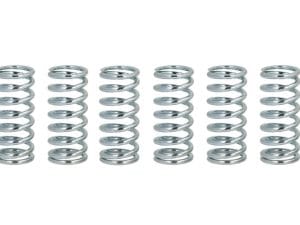 Kuplung rugó készlet FERODO FSS0503