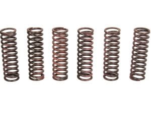 Kuplung rugó készlet TRW MEF303-6