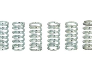 Kuplungrugó készlet TRW MEF106-6