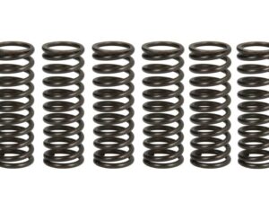 Kuplung rugó készlet TRW MEF308-6 LT-R450 Quadracer 06-12