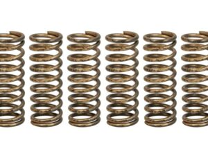 Kuplung rugó készlet Honda TRW MEF341-6 CRF450 R 17-20