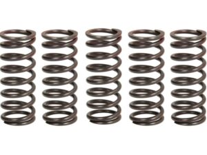 Kuplung rugó készlet TRW MEF310-5