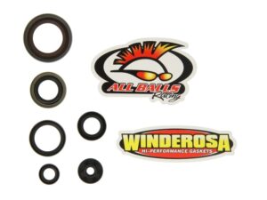 Motor szimmering készlet W822348 WInderosa
