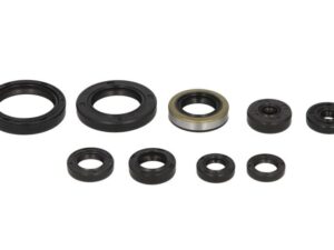 Motor szimmering készlet W822977 Winderosa