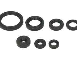 Motor szimmering készlet W822692 Winderosa