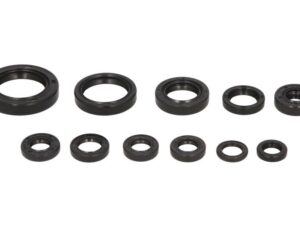 Motor szimmering készlet W822271 Winderosa