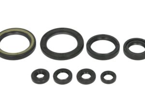 Motor szimmering készlet W822378 Winderosa
