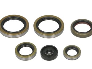 Motor szimmering készlet W822690 Winderosa