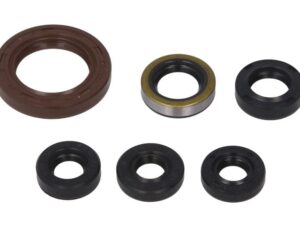 Motor szimmering készlet W822201 Winderosa