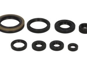 Motor szimmering készlet W822133 Winderosa