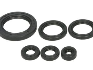 Motor szimmering készlet W822978 Winderosa