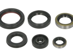 Motor szimmering készlet W822995 Winderosa
