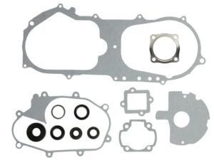 Komplett tömítéskészlet W811908 Winderosa