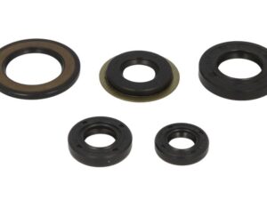 Motor szimmering készlet W822308 Winderosa