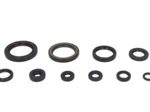 Motor szimmering készlet W822178 Winderosa