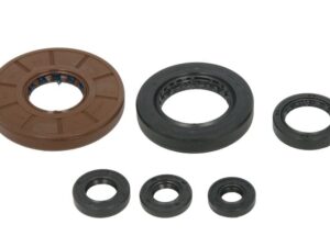 Motor szimmering készlet W822276 Winderosa