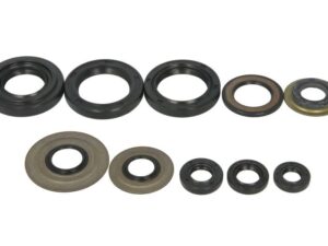 Motor szimmering készlet W822279 Winderosa