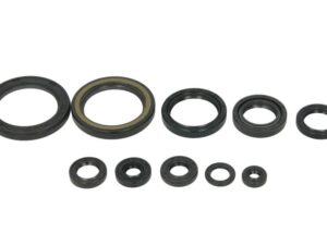 Motor szimmering készlet W822989 Winderosa