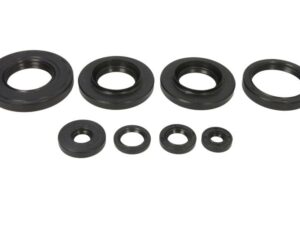Motor szimmering készlet W822349 Winderosa