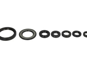 Motor szimmering készlet W822338 Winderosa