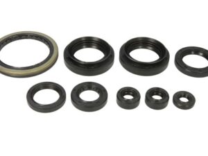 Motor szimmering készlet W822259 Winderosa