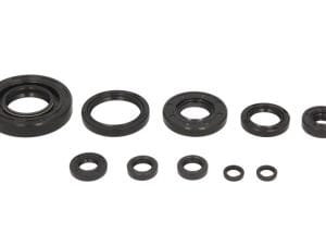 Motor szimmering készlet W822174 Winderosa