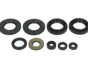 Motor szimmering készlet W822258 Winderosa