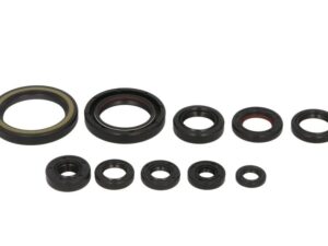 Motor szimmering készlet W822332 Winderosa