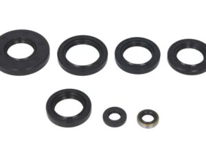 Motor szimmering készlet W822251 Winderosa