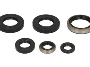 Motor szimmering készlet W822185 Winderosa