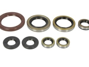 Motor szimmering készlet W822364 Winderosa