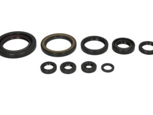 Motor szimmering készlet W822312 Winderosa