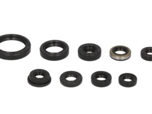 Motor szimmering készlet W822319 Winderosa