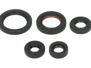 Motor szimmering készlet W822263 Winderosa