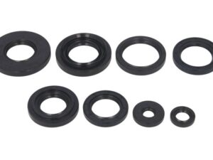 Motor szimmering készlet W822253 Winderosa