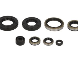 Motor szimmering készlet W822284 Winderosa