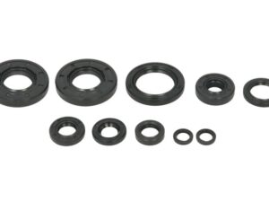 Motor szimmering készlet W822993 Winderosa