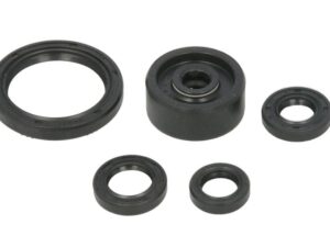 Motor szimmering készlet W822377 Winderosa