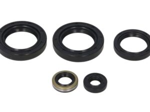 Motor szimmering készlet W822244 Winderosa