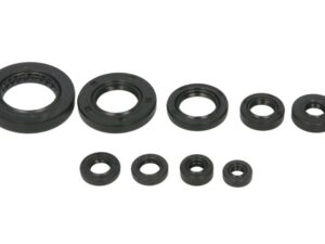 Motor szimmering készlet W822354 Winderosa