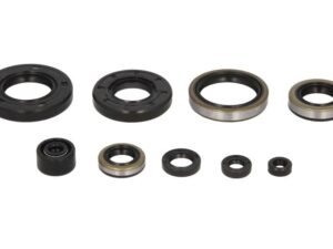 Motor szimmering készlet W822286 Winderosa