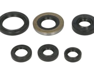 Motor szimmering készlet W822278 Winderosa